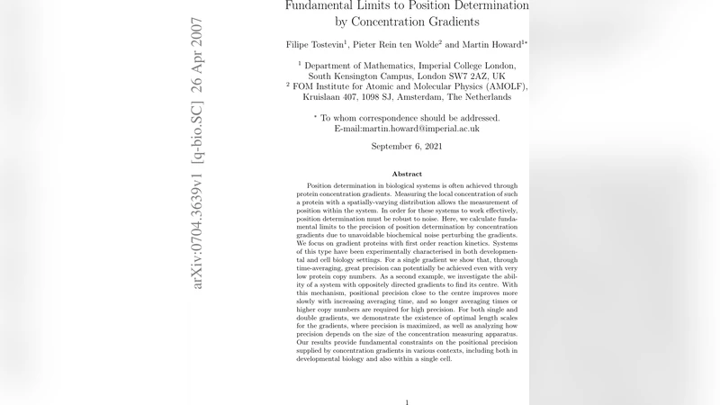 Fundamental Limits to Position Determination by Concentration Gradients