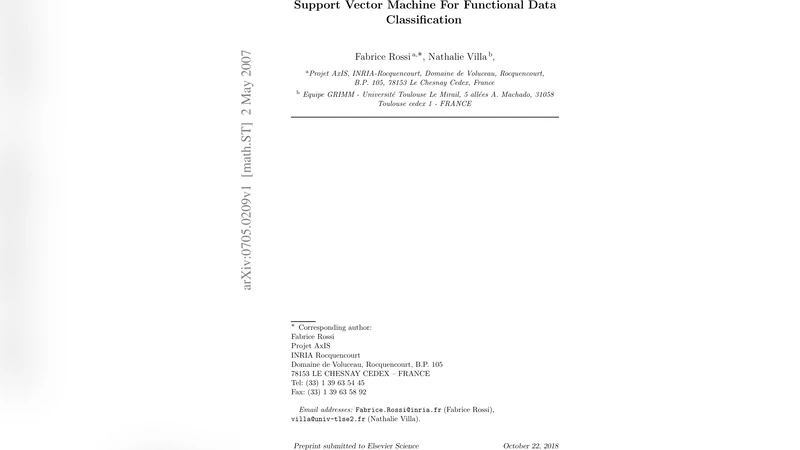 Support vector machine for functional data classification