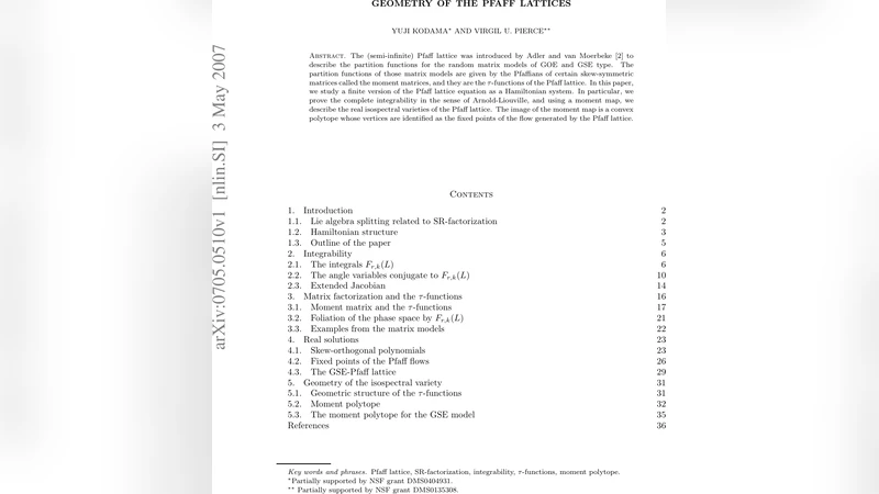 Geometry of the Pfaff lattices