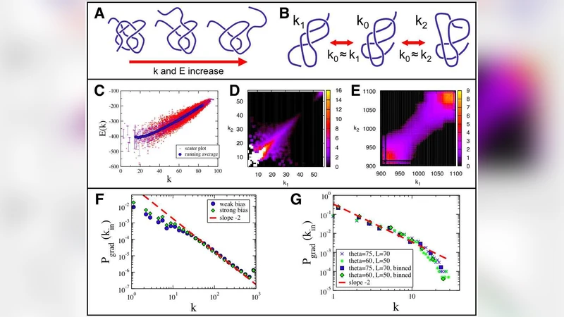 Network Structure of Protein Folding Pathways