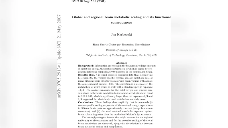 Global and regional brain metabolic scaling and its functional   consequences