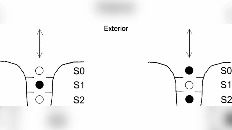 Ion transport through cell membrane channels