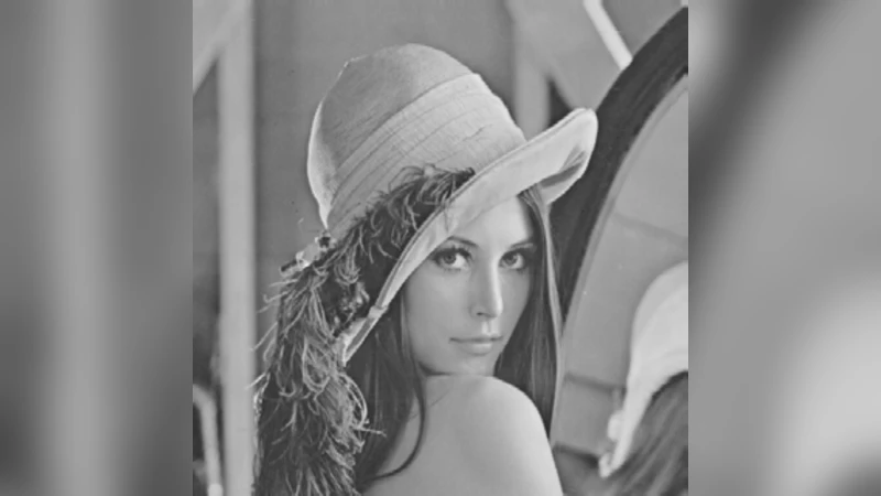 On the Performance of Joint Fingerprint Embedding and Decryption Scheme