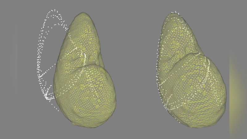 Top marine predators track Lagrangian coherent structures
