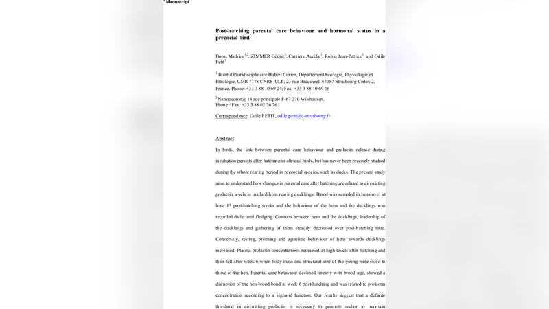 Post-hatching parental care behaviour and hormonal status in a precocial   bird