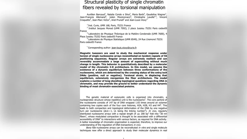 Structural plasticity of single chromatin fibers revealed by torsional   manipulation