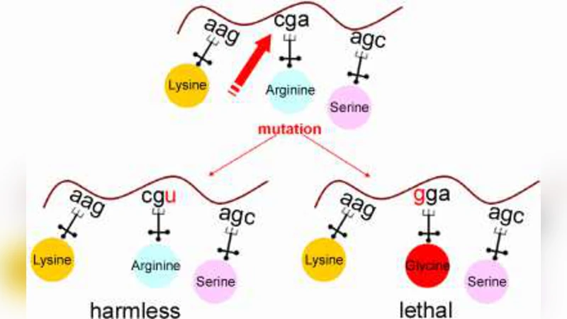 Monte Carlo Simulation and Statistical Analysis of the Effect of Coding   Table Specificity on Genetic Information Coding