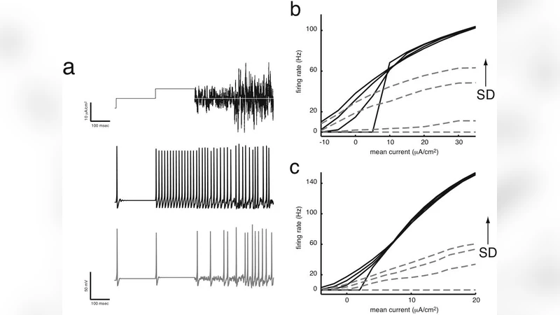 Leading Tree in DPCLUS and Its Impact on Building Hierarchies
