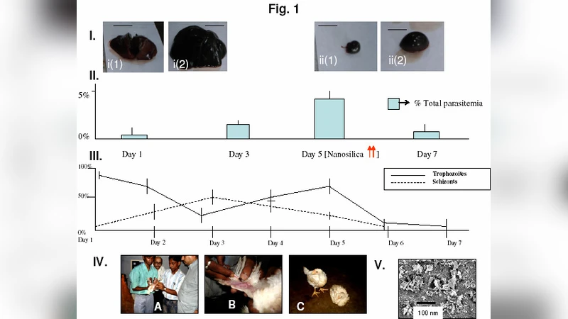 Control of poultry chicken malaria by surface functionalized amorphous   nanosilica
