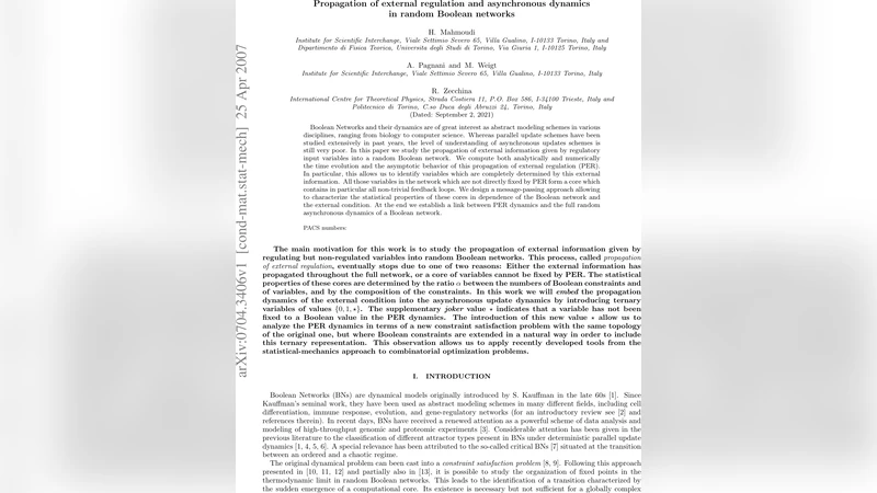 Propagation of external regulation and asynchronous dynamics in random   Boolean networks