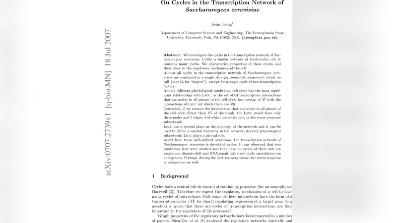 On Cycles in the Transcription Network of Saccharomyces cerevisiae