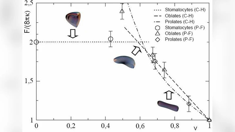 Shape instabilities in vesicles: a phase-field model