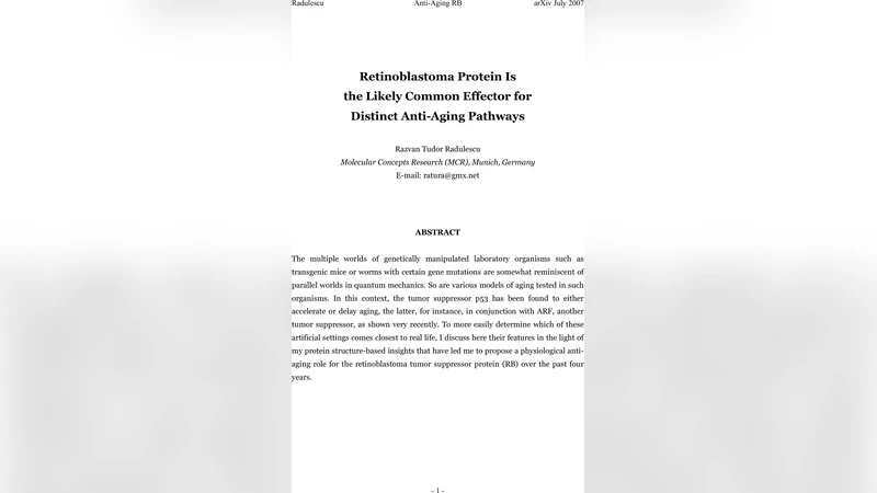 Retinoblastoma protein is the likely common effector for distinct   anti-aging pathways