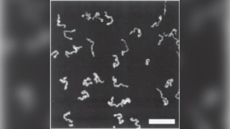 A First Exposure to Statistical Mechanics for Life Scientists