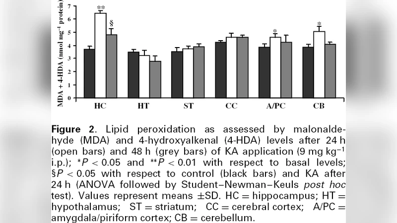 Selective vulnerability to kainate-induced oxidative damage in different   rat brain regions