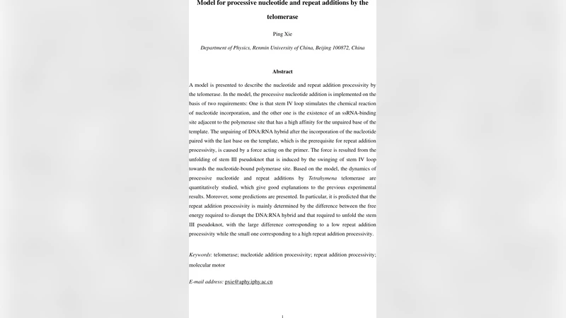 Model for processive nucleotide and repeat additions by the telomerase