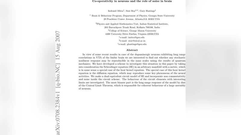 Co-operativity in neurons and the role of noise in brain