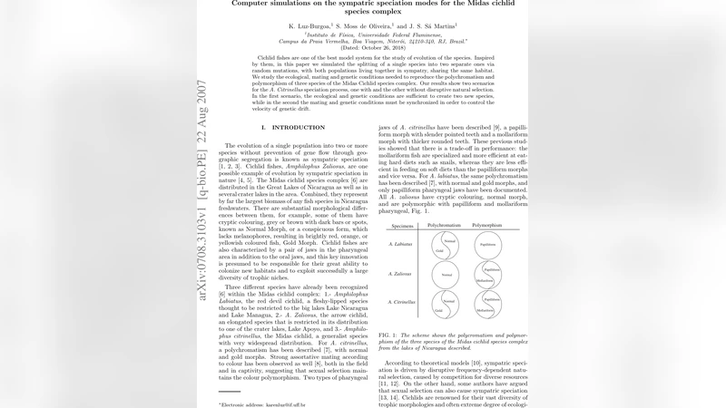 Computer simulations on the sympatric speciation modes for the Midas   cichlid species complex