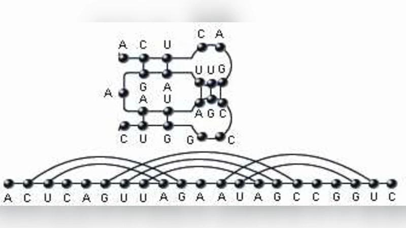 Pseudoknot RNA Structures with Arc-Length $ge 3$