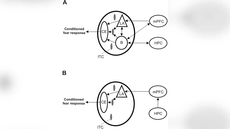 Schizophrenia - a parameters game?