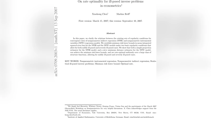 On rate optimality for ill-posed inverse problems in econometrics