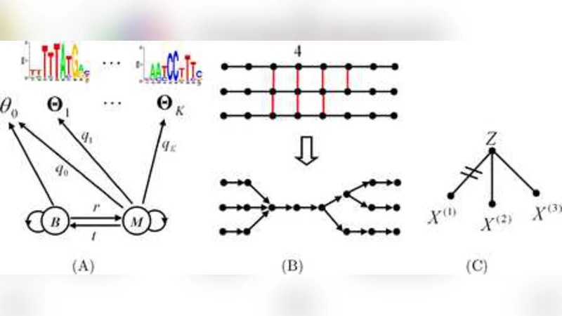 Coupling hidden Markov models for the discovery of Cis-regulatory   modules in multiple species