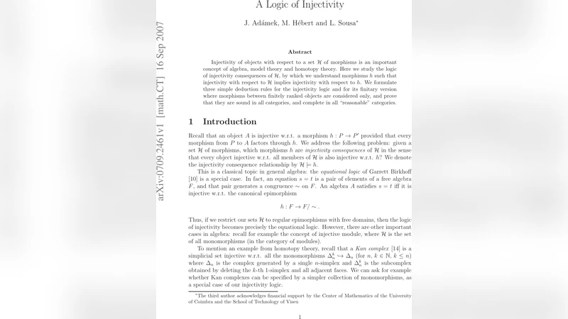 A Logic of Injectivity