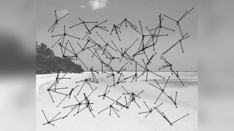 Biomimetic Space-Variant Sampling in a Vision Prosthesis Improves the   Users Skill in a Localization Task