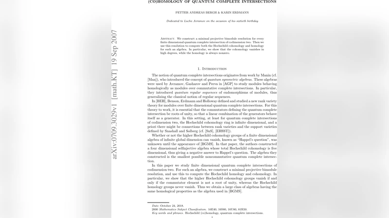 (Co)homology of quantum complete intersections