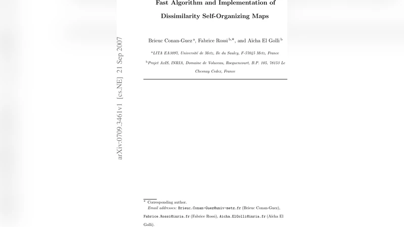 Fast Algorithm and Implementation of Dissimilarity Self-Organizing Maps