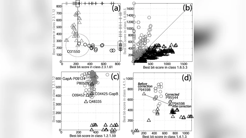 Probabilistic annotation of protein sequences based on functional   classifications