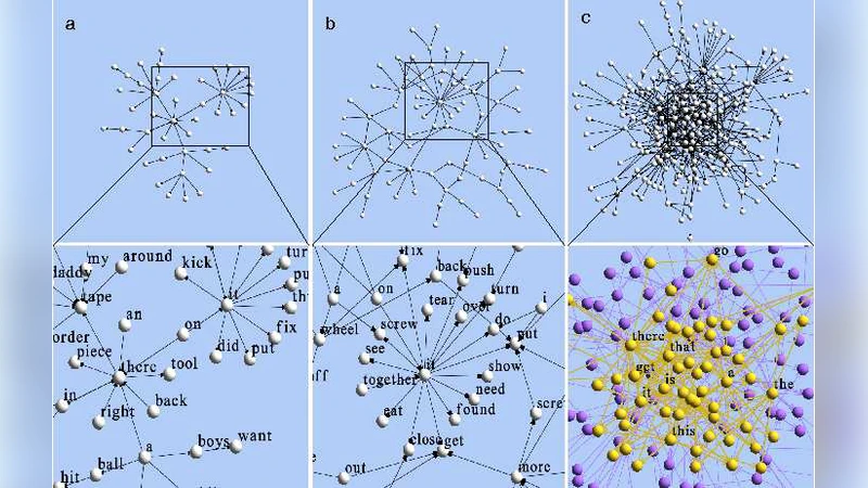 Emergence of Scale-Free Syntax Networks