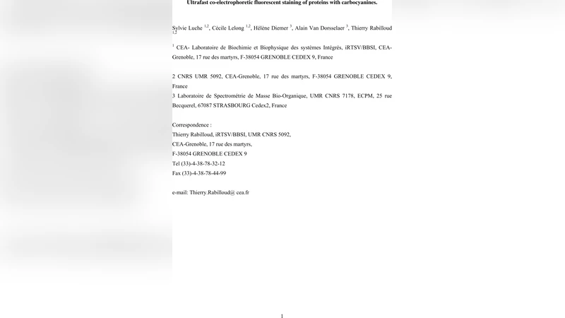 Ultrafast coelectrophoretic fluorescent staining of proteins with   carbocyanines
