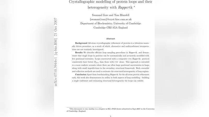 Crystallographic modelling of protein loops and their heterogeneity with   Rappertk