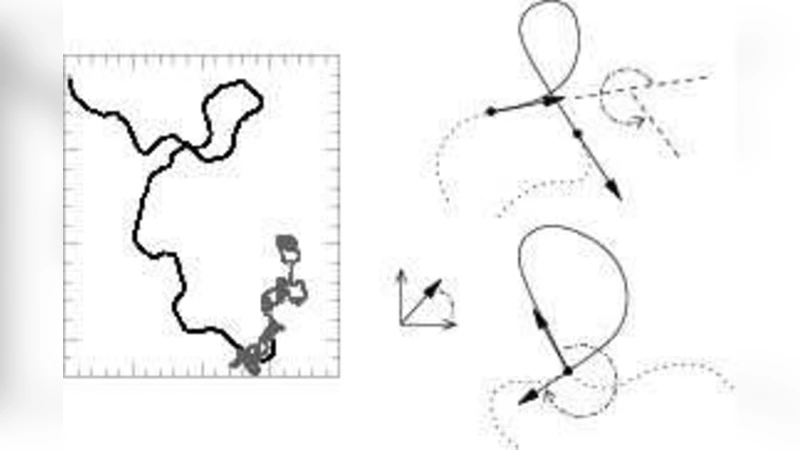 Thermodynamics of DNA loops with long-range correlated structural   disorder