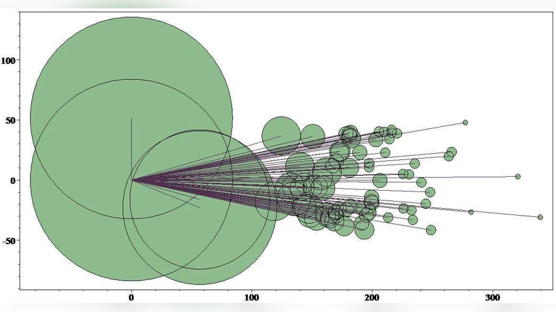 Scale-free Segregation in Transport Networks