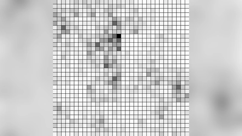 A multifractal model for spatial variation in species richness