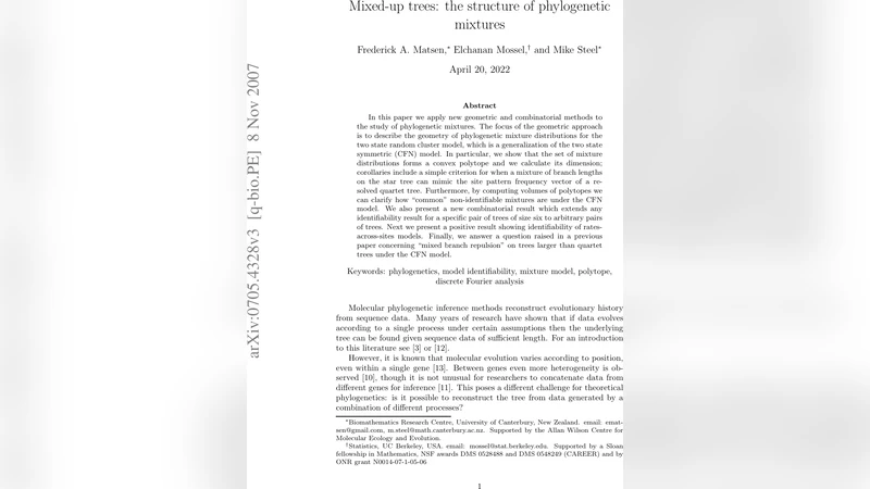 Probabilistic approach to a proliferation and migration dichotomy in the   tumor cell invasion