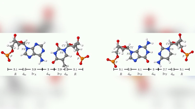 Numerical analysis of solitons profiles in a composite model for DNA to   rsion dynamics