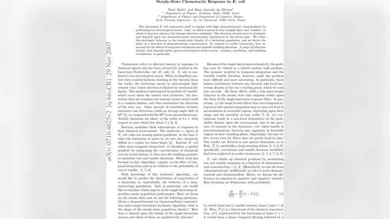 Steady-State Chemotactic Response in E. coli