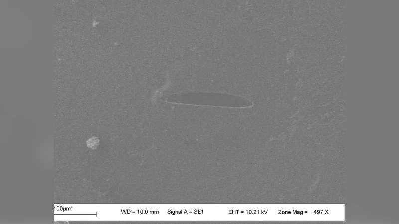 Process Issues for a Multi-Layer Microelectrofluidic Platform