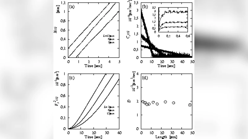 Anomalous fluctuations in sliding motion of cytoskeletal filament driven   by molecular motors: Model simulations