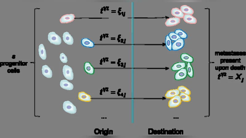 A superstatistical model of metastasis and cancer survival
