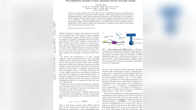 Non-equilibrium dynamics of gene expression and the Jarzynski equality