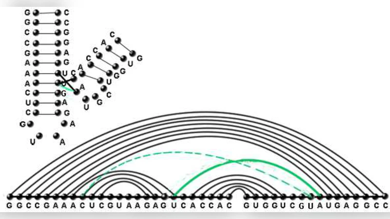 RNA-LEGO: Combinatorial Design of Pseudoknot RNA