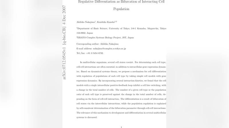 Regulative Differentiation as Bifurcation of Interacting Cell Population