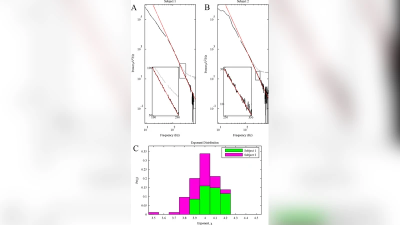 ECoG observations of power-law scaling in the human cortex