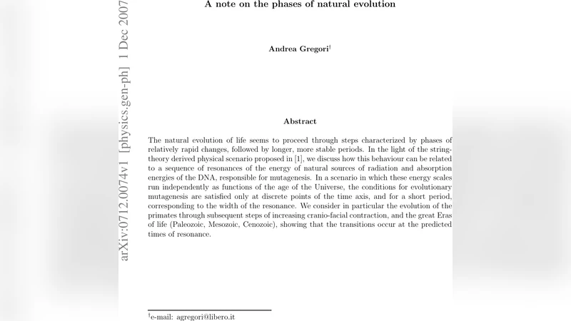 A note on the phases of natural evolution