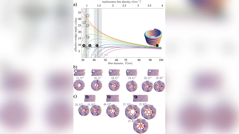 Nucleosome shape dictates chromatin-fiber structure