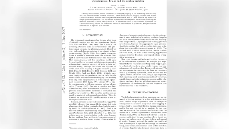 Consciousness, brains and the replica problem